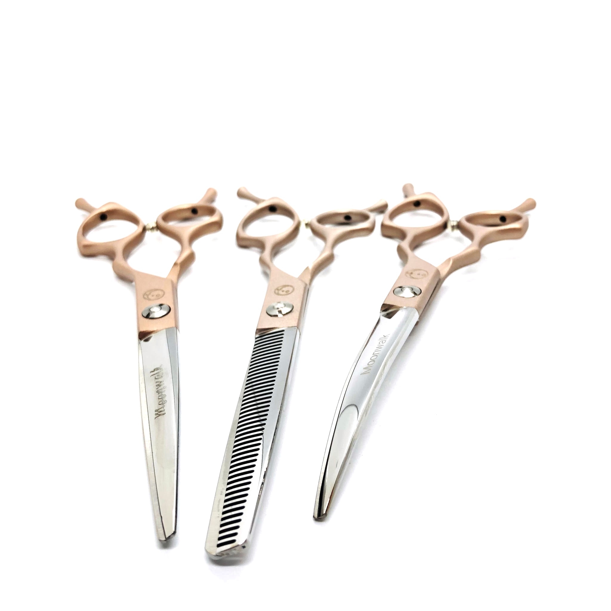 Global Scissors Brighton 5.5 Cutting Scissor — Salonshop Online
