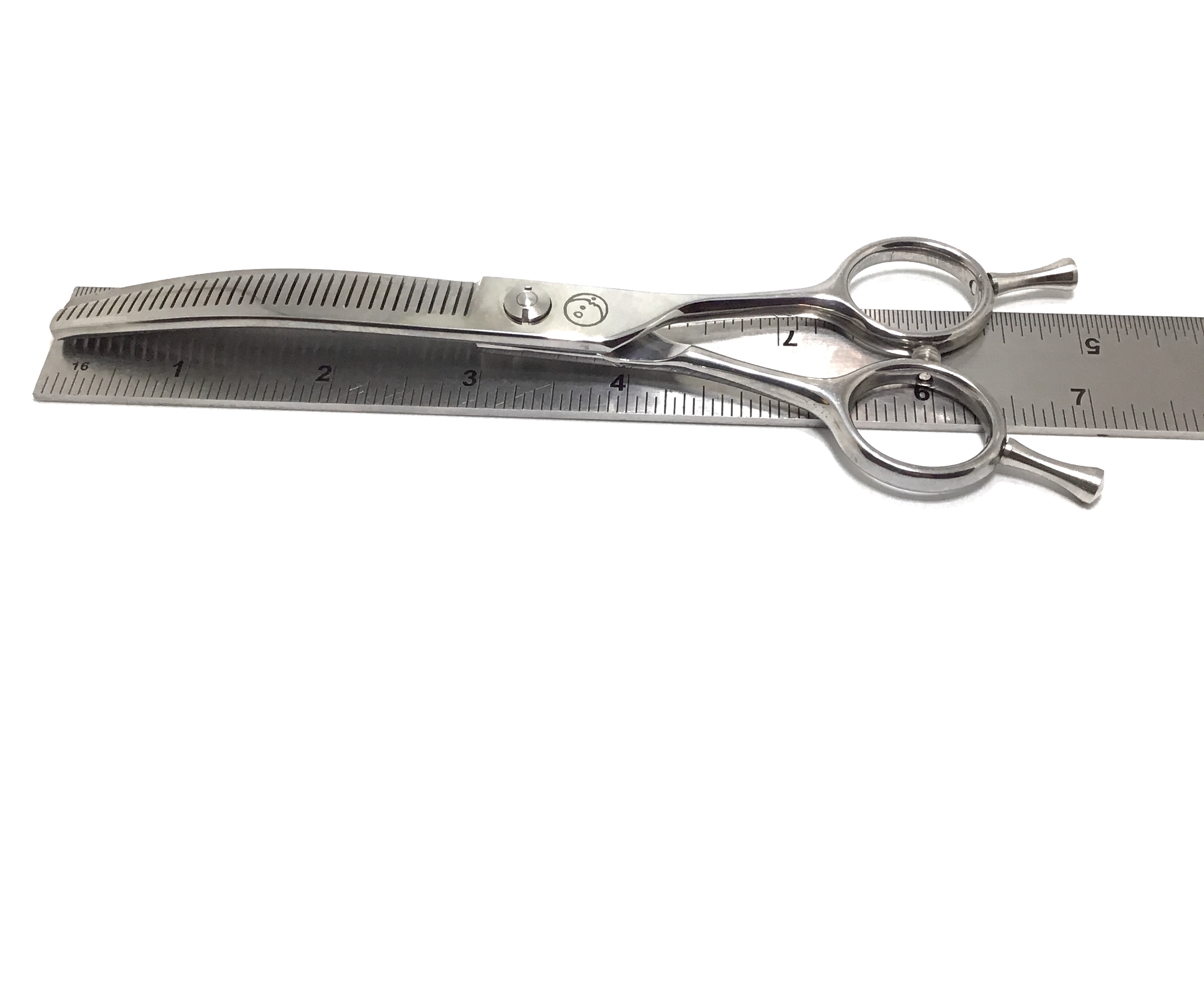 scalloped scissors [last chance!] – cozyblue